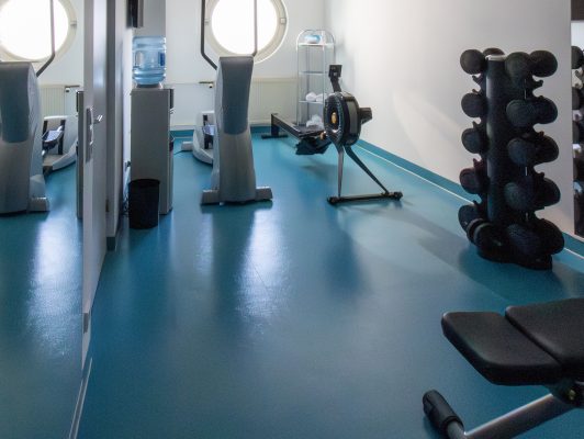 01_palatin-wellness-2025-fitnessraum-sauna-sanarium-002