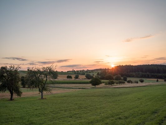 DEKRA_Congresshote._Wart_05